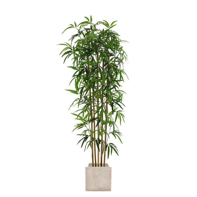 Dakota Fields 158cm Faux Bamboo Tree in Pot Wayfair.co.uk